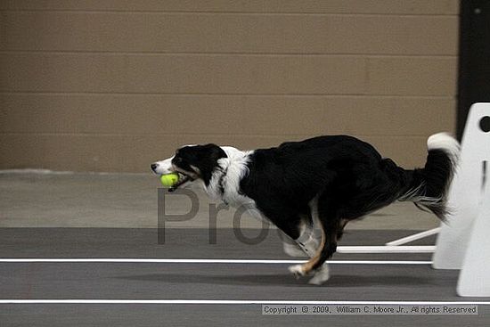 Birmingham Bandits March Madness<br />3/14/2009<br />Shocco Springs, Al