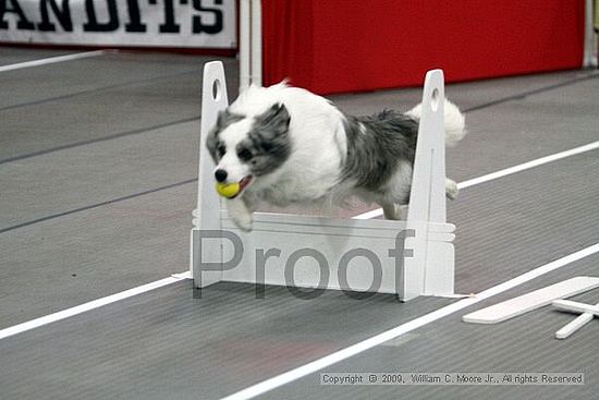 Birmingham Bandits March Madness<br />3/14/2009<br />Shocco Springs, Al