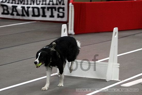 Birmingham Bandits March Madness<br />3/14/2009<br />Shocco Springs, Al