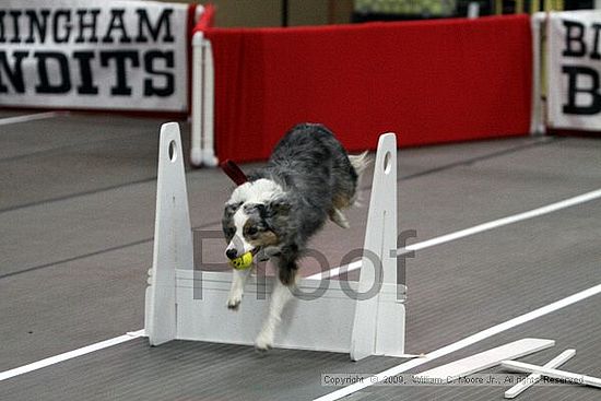 Birmingham Bandits March Madness<br />3/14/2009<br />Shocco Springs, Al