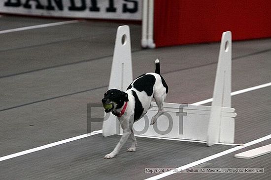 Birmingham Bandits March Madness<br />3/14/2009<br />Shocco Springs, Al