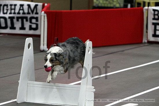 Birmingham Bandits March Madness<br />3/14/2009<br />Shocco Springs, Al