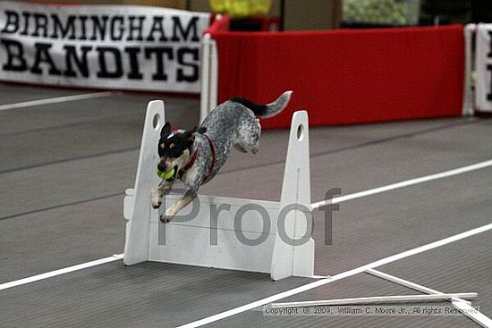 Birmingham Bandits March Madness<br />3/14/2009<br />Shocco Springs, Al