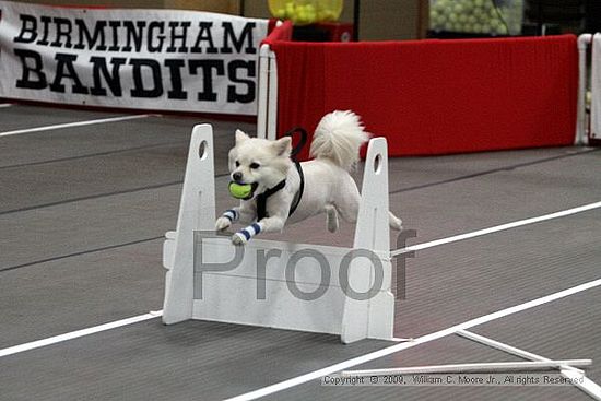 Birmingham Bandits March Madness<br />3/14/2009<br />Shocco Springs, Al