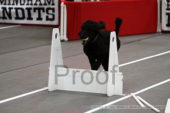 Birmingham Bandits March Madness<br />3/14/2009<br />Shocco Springs, Al