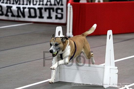 Birmingham Bandits March Madness<br />3/14/2009<br />Shocco Springs, Al