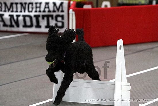 Birmingham Bandits March Madness<br />3/14/2009<br />Shocco Springs, Al