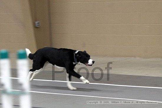 Birmingham Bandits March Madness<br />3/14/2009<br />Shocco Springs, Al