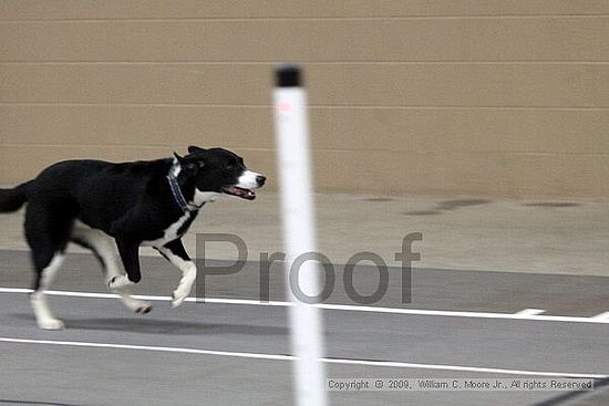 Birmingham Bandits March Madness<br />3/14/2009<br />Shocco Springs, Al