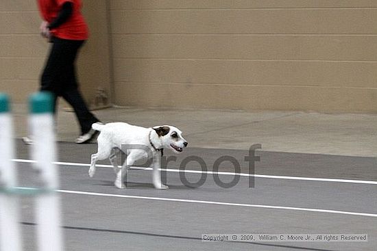 Birmingham Bandits March Madness<br />3/14/2009<br />Shocco Springs, Al