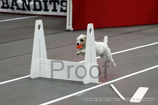 Birmingham Bandits March Madness<br />3/14/2009<br />Shocco Springs, Al