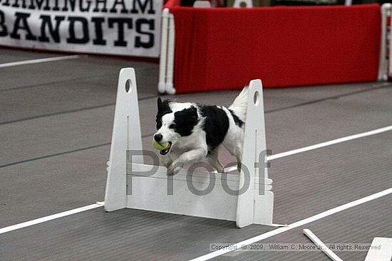 Birmingham Bandits March Madness<br />3/14/2009<br />Shocco Springs, Al