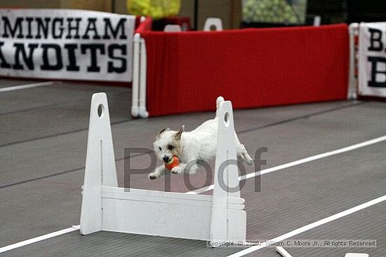 Birmingham Bandits March Madness<br />3/14/2009<br />Shocco Springs, Al