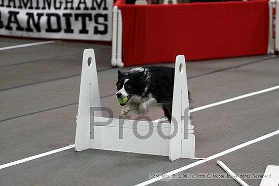 Birmingham Bandits March Madness<br />3/14/2009<br />Shocco Springs, Al