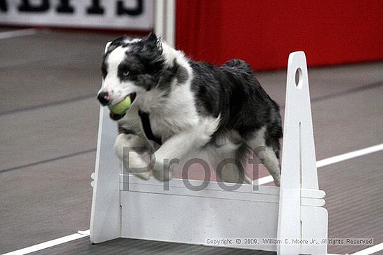 Birmingham Bandits March Madness<br />3/14/2009<br />Shocco Springs, Al