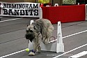 img_3777_thm.jpg