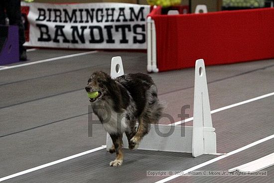 Birmingham Bandits March Madness<br />3/14/2009<br />Shocco Springs, Al