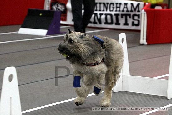 Birmingham Bandits March Madness<br />3/14/2009<br />Shocco Springs, Al