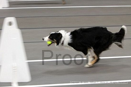 Birmingham Bandits March Madness<br />3/14/2009<br />Shocco Springs, Al