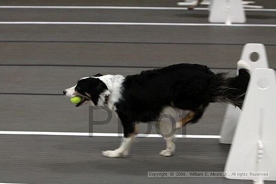 Birmingham Bandits March Madness<br />3/14/2009<br />Shocco Springs, Al