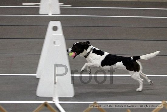 Birmingham Bandits March Madness<br />3/14/2009<br />Shocco Springs, Al