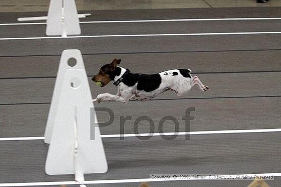 Birmingham Bandits March Madness<br />3/14/2009<br />Shocco Springs, Al