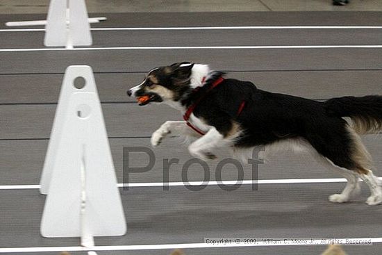 Birmingham Bandits March Madness<br />3/14/2009<br />Shocco Springs, Al