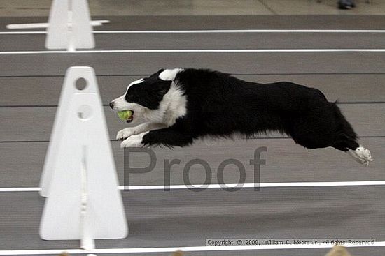 Birmingham Bandits March Madness<br />3/14/2009<br />Shocco Springs, Al