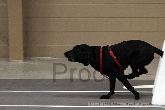 Birmingham Bandits March Madness<br />3/14/2009<br />Shocco Springs, Al