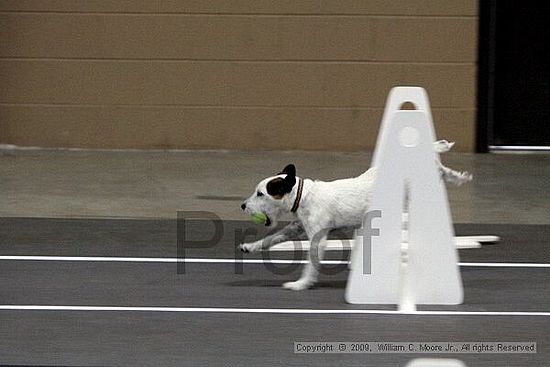 Birmingham Bandits March Madness<br />3/14/2009<br />Shocco Springs, Al