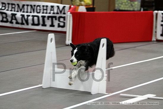 Birmingham Bandits March Madness<br />3/14/2009<br />Shocco Springs, Al