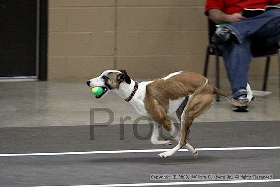 Birmingham Bandits March Madness<br />3/14/2009<br />Shocco Springs, Al