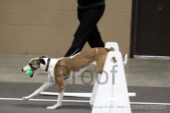 Birmingham Bandits March Madness<br />3/14/2009<br />Shocco Springs, Al