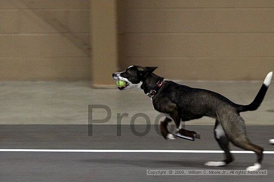 Birmingham Bandits March Madness<br />3/14/2009<br />Shocco Springs, Al