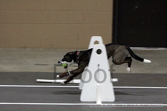 Birmingham Bandits March Madness<br />3/14/2009<br />Shocco Springs, Al