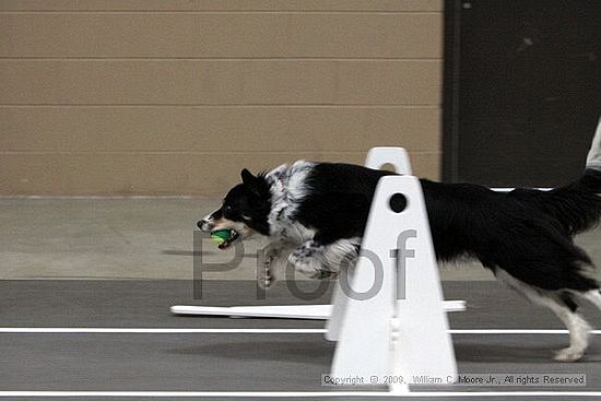 Birmingham Bandits March Madness<br />3/14/2009<br />Shocco Springs, Al