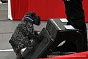 img_3920_thm.jpg