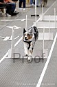 img_3924_thm.jpg