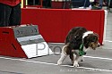 img_3958_thm.jpg