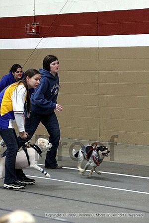 Birmingham Bandits March Madness<br />3/14/2009<br />Shocco Springs, Al