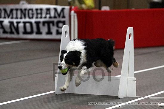 Birmingham Bandits March Madness<br />3/14/2009<br />Shocco Springs, Al