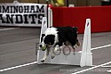 img_3974_thm.jpg