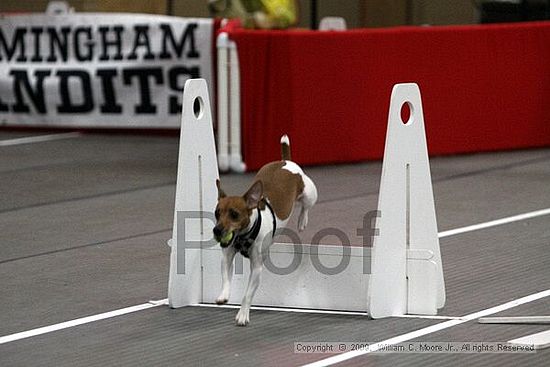 Birmingham Bandits March Madness<br />3/14/2009<br />Shocco Springs, Al