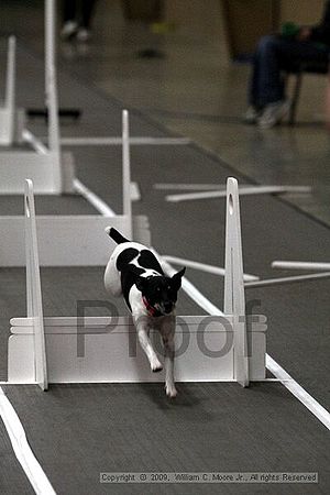 Birmingham Bandits March Madness<br />3/14/2009<br />Shocco Springs, Al