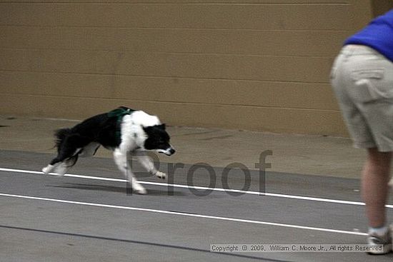 Birmingham Bandits March Madness<br />3/14/2009<br />Shocco Springs, Al