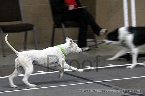 Birmingham Bandits March Madness<br />3/14/2009<br />Shocco Springs, Al