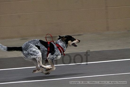 Birmingham Bandits March Madness<br />3/14/2009<br />Shocco Springs, Al