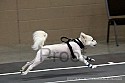 img_4023_thm.jpg