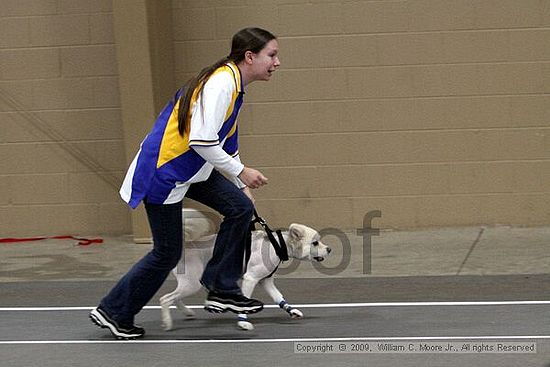 Birmingham Bandits March Madness<br />3/14/2009<br />Shocco Springs, Al