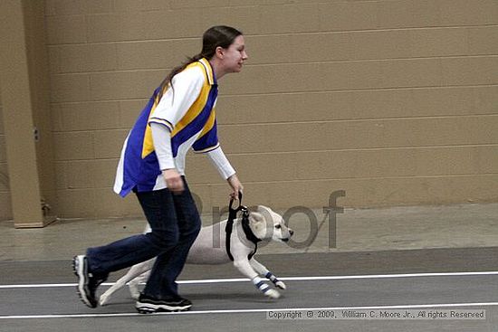 Birmingham Bandits March Madness<br />3/14/2009<br />Shocco Springs, Al